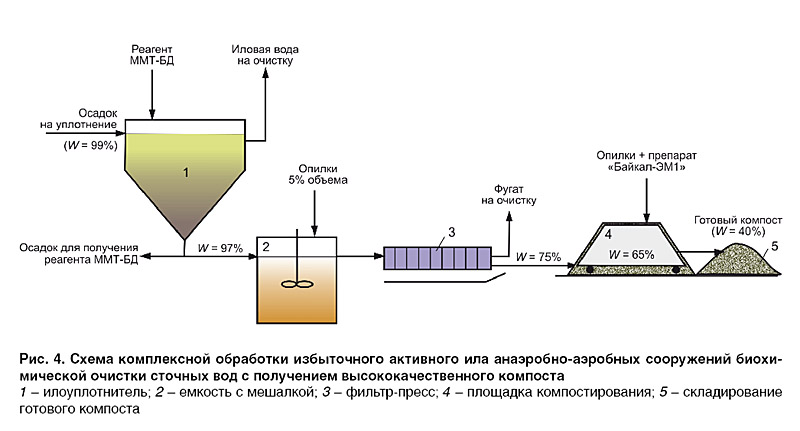 12_ris_4