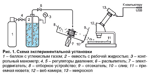 14_ris_1