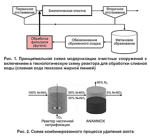 04_08_ris_01-02