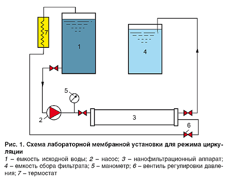 07-04_ris_01