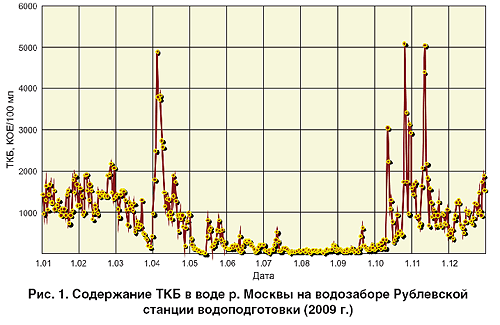 08_04_ris-01