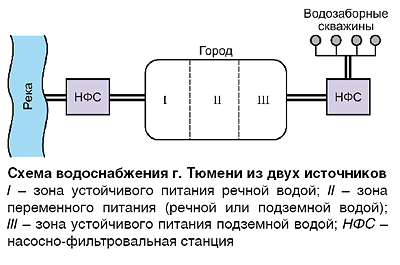 08_05_ris-01