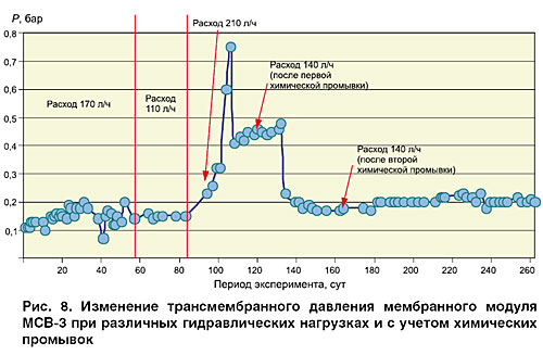 10_06_ris_08