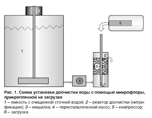 03_10_ris_01