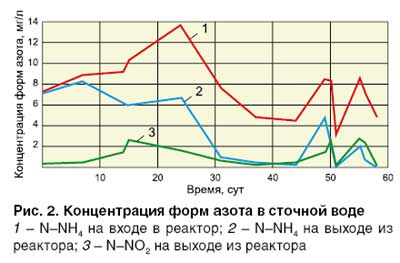 03_10_ris_02